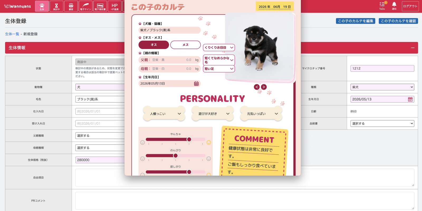 この子のカルテの発行